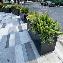 ���P䓻�������Fˇ����V����[�Nֲ��ͥԺ¶̨�����������ڸ���