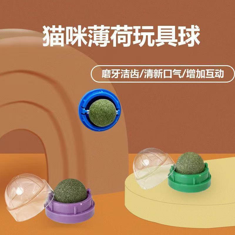 고양이 장난감 자기 구호 개수 공 애완 동물 고양이 용품 고양이 Molar 고양이 장난감 gall 과일 고양이 재고