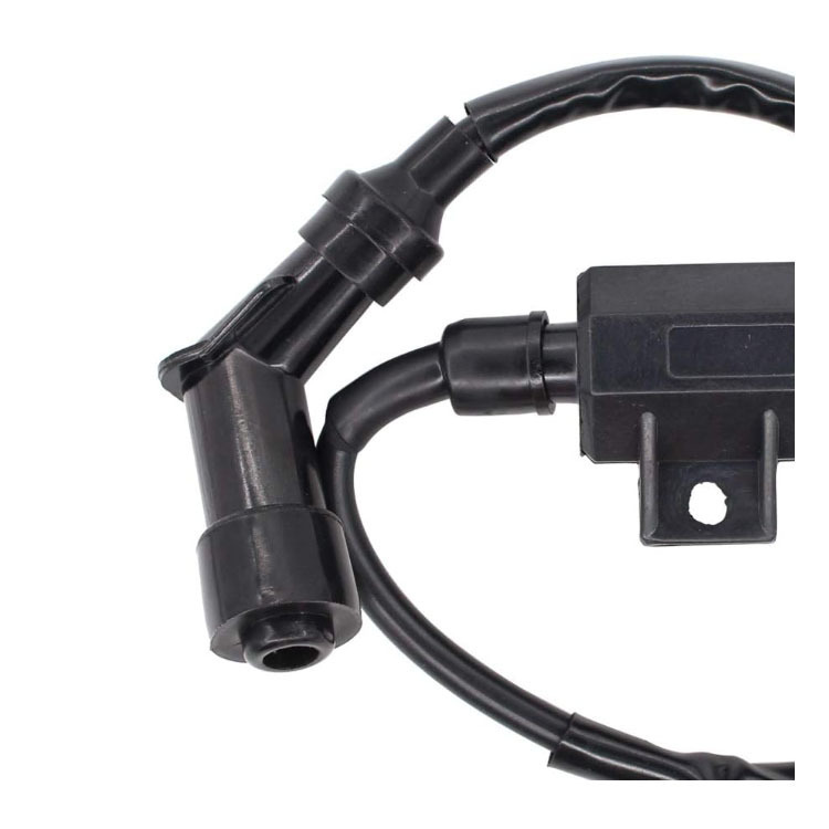 Paquete de alta tensión bobina de encendido LT80 Quadsport 80 Z 250 230 LT230S