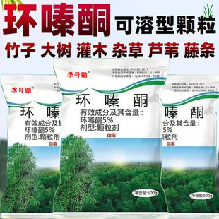 �h�ͪ���ݠ�������������Ӡ����۹�ľ�w������ș������݄��w��