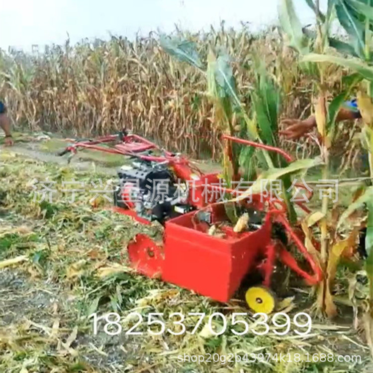 轴链接玉米收获机 玉米收获机厂家 195柴油收玉米摘穗装箱机