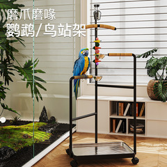 中型および大型のオウム鳥スタンド、錬鉄製のステンレス鋼の飲料水と給餌、洗えるトレイ、屋外鳥かご用の床サポート