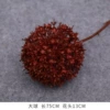 Big ball (single dandelion)