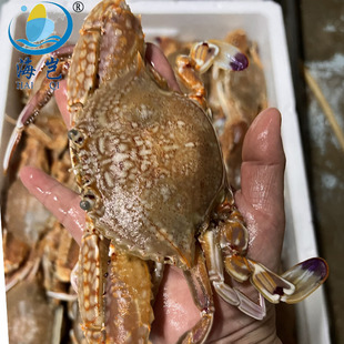 ���ݖ|ɽ����зҰ�������з ֻ��������з���rˮ�a���b�з