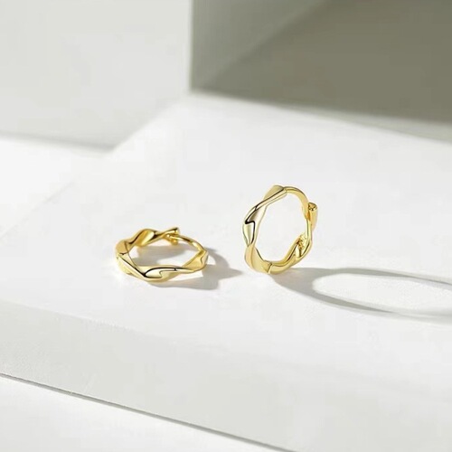 Earrings for women's earrings niche design sense high-end earrings cold style earrings