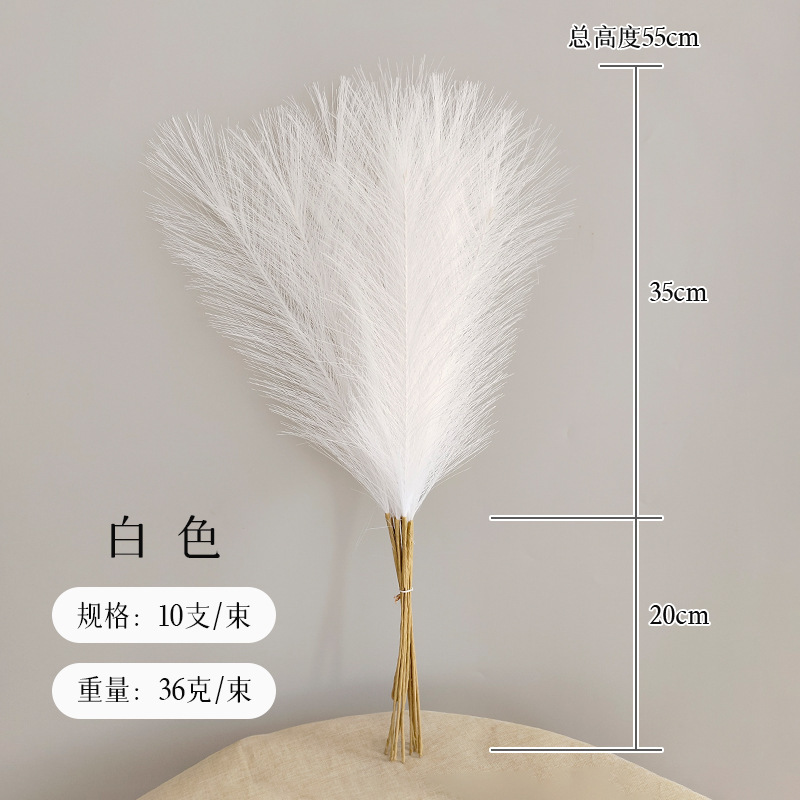 A principios de otoño Morandi sistema de color sistema de caña imitación de fuegos artificiales props de disparo Macaron sistema de color transfronterizo mayorista