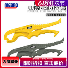 ·~ϊA~͎ʧK΢Qڿӿ~