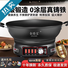 電気中華鍋 鋳鉄製 無塗装ノンスティック鍋 家庭用多機能炒め物・蒸し物 オールインワン電気蒸し器 電気鍋