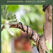 �辰�����X�z�X���P���X�z������@ˇ�F�z�����_�h�ɶ��ͅνz