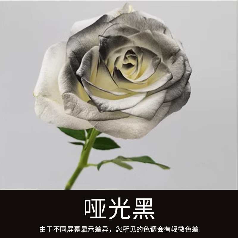 Material de embalaje de flores frescas Agente de tinción en aerosol de flores secas Salsa de ciruela negra Pintura en aerosol de flores Pintura en aerosol de flores Agente de color de flores