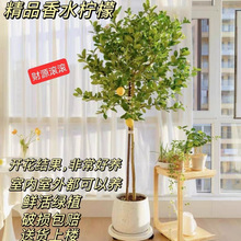 ֲ̨҃ȼȩ♎ʘۙˮʘʘֲ҃