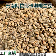 �F؛�����®a�����С�����������Օ�̎�����x���|���ȶ��S��ֱ�N