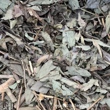 中药材 500克 饿蚂蝗 山蚂蝗 粘身草 小槐花 产地直供 现货批发