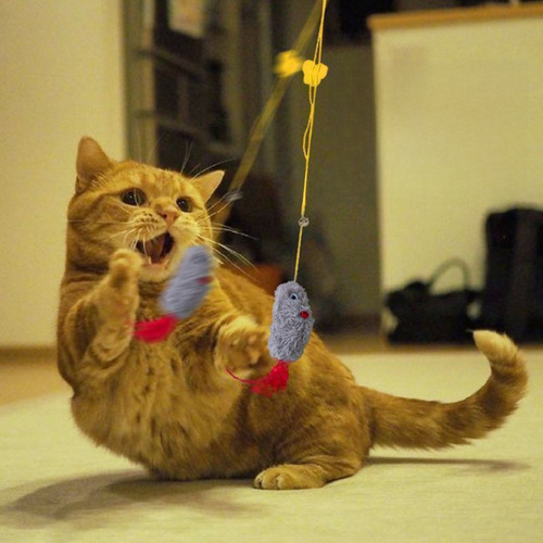 Cat toy hanging elastic barking rat simulation door hanging cat funny stick cat toy swing self-entertainment