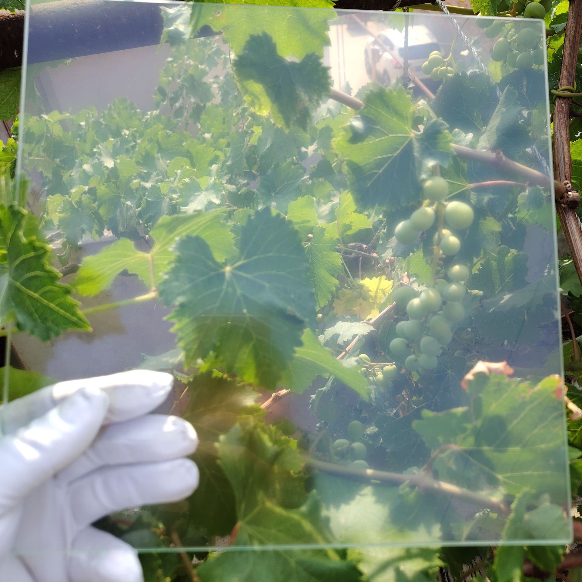 微信图片_20250617170553