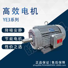 安徽皖南电机YE5-132M-4 5.5KW一级能效三相异步电机货期快全国发