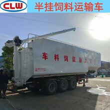 ���ڰ���������䳵 ɢװ���ϳ�50�����ϰ�ҳ� ������ ����