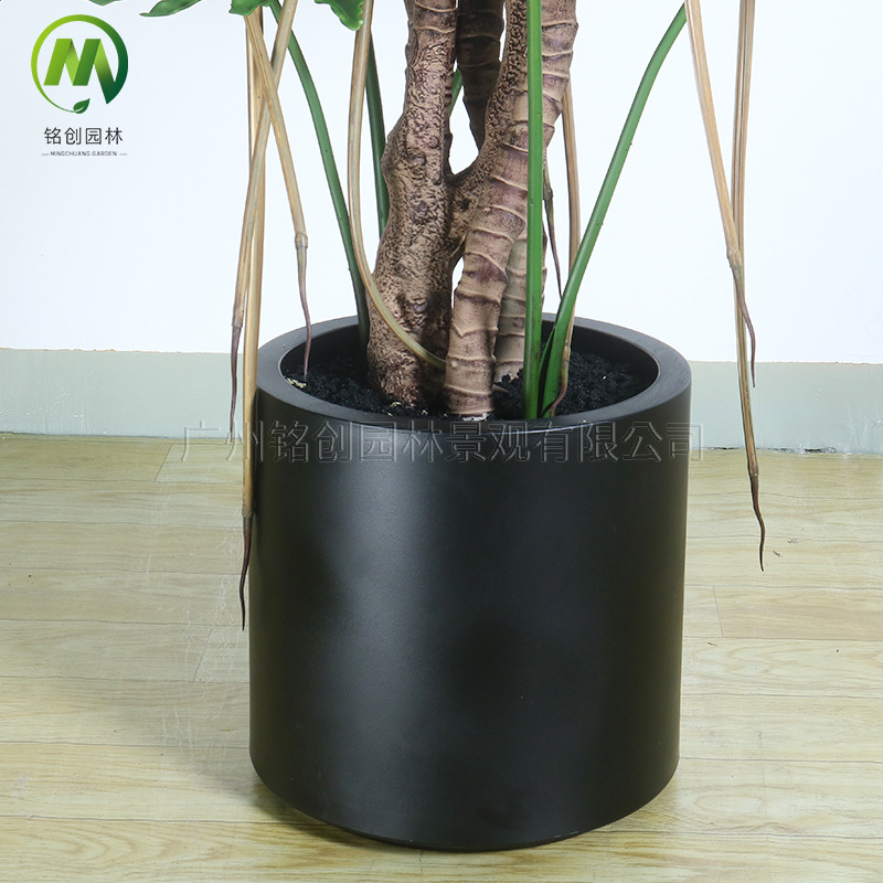 Simulación de interior Planta verde Simulación de plantación de disco Escala de dragón Taro de primavera Sala de estar Balcón Simulación Planta verde falsa Oficina Bonsai