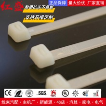 ���������������� �������� ����|���� 100��/�� �Ӻ�h������