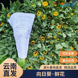 鲜切花;干花;园艺工具