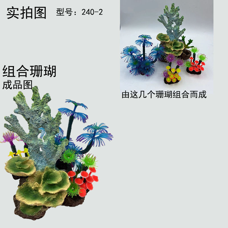 240-2 xin.jpg