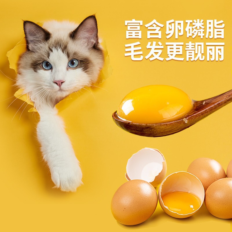 Comida para gatos liofilizada al por mayor 10 kg empaquetados en gatos 5kg gatitos para engordar y nutrición