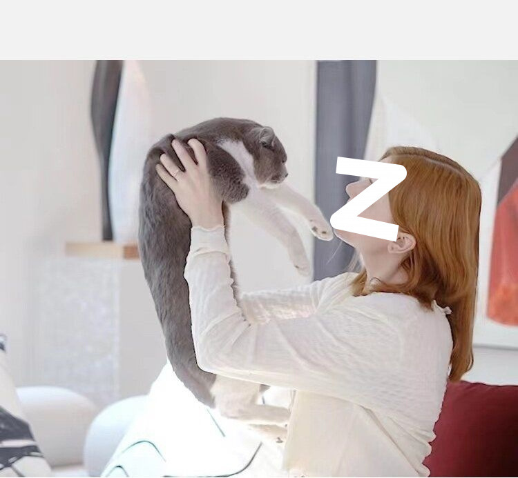 ca824669-6a7b-4c75-8b25-f0beada40172.jpe