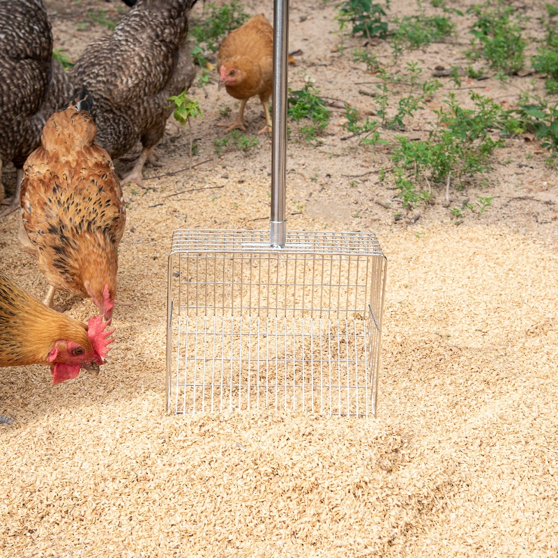 Очень большая лопата для куриного помета из нержавеющей стали с телескопической ручкой, металлическая лопата для куриного помета с удлиненной ручкой, инструмент для очистки куриного помета в курятнике.