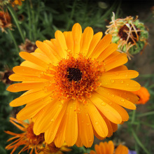 ľջNֲĻѻСջN̨ԻNļ׷N