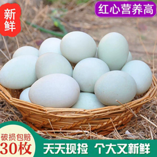 30枚包邮新鲜生鸭蛋农家放养青白皮土鸭蛋大个现捡现发麻鸭蛋批发