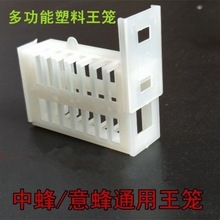 养蜂工具白色箱形蜂箱塑料蜂箱防逃逸框架囚王笼邮寄王龙关王
