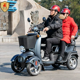 其他电动车;电动三轮车;电动代步车