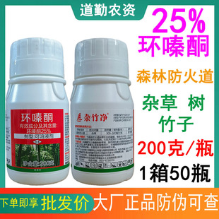 �s���25%�h�ͪ���݄�ɭ�ַ�����_�ĳ��s���rș�S�����l���݄�