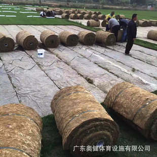 Lanyin No. 3 Lawn Roll School Natural Turf Football Field Construction Provincial Games Football Field Natural Turf Paving
