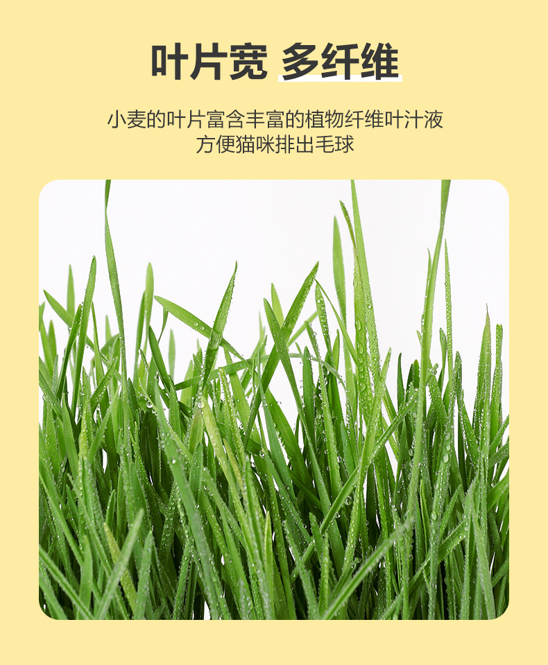 未标题-1_06.jpg