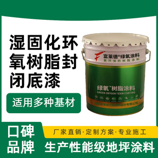 Wet Cured Epoxy Sealing Primer Basement Bridge Maintenance Tunnel Engineering Paint Manufacturer
