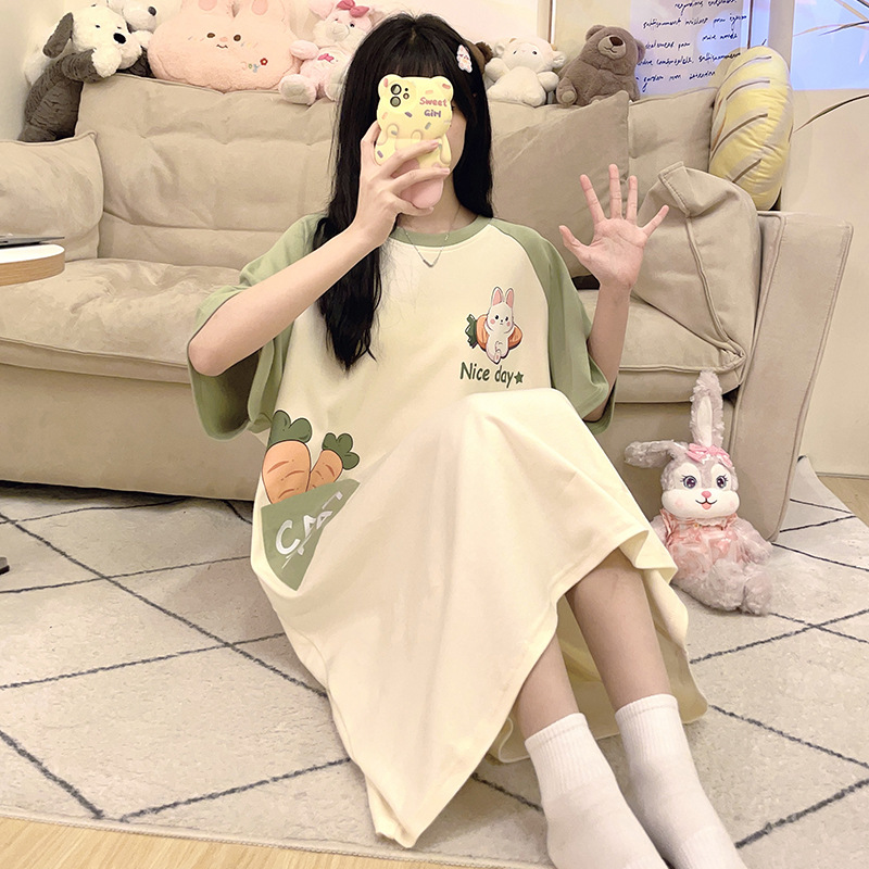 024 당근 토끼