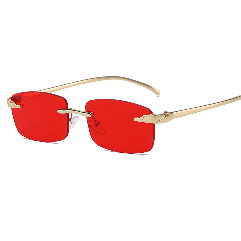Leopard Head Frameless Sunglasses Retro Geometric Pattern Women's Outdoor Casual Unisex_voghion.com