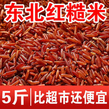 |t3/5 sZԵļt׾׼t׼tѪ׼t