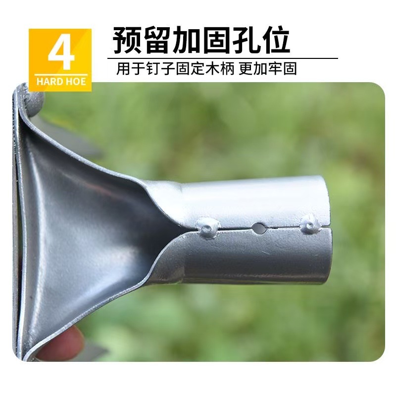 微信图片_202504251015221.jpg