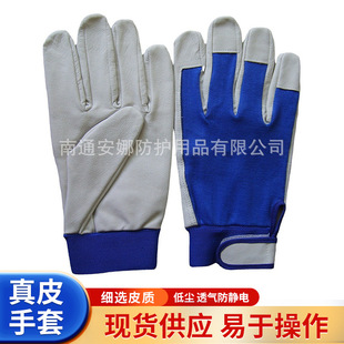 �S��ֱ����Ƥ������Ƥ��Ƥ�ڱ����o�������@���̷��o늺���ճ�ێ�