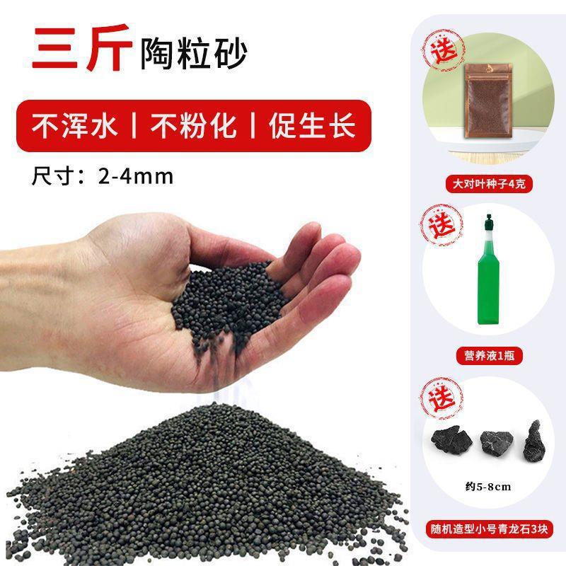 1.5kg 모래 [큰 잎 한 쌍 + 영양 용액 + 작은 녹색 용석 보내기]