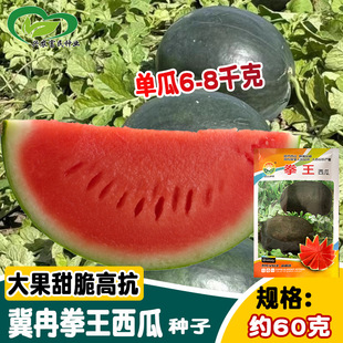 ��Ƚȭ����Ƥ���ϷN�� ����ִ�t���Ƥ���ز������� ¶�ش����