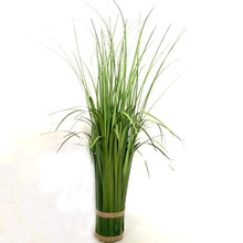 仿真草植物40cm60cm纯草筒芦苇草仿真植物草洋葱草仿真春草批发