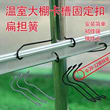 ���Ҵ����������ɿ��۹̶�����Ĥ��810121416�w�S�U�E�A�ܿ���