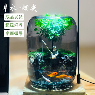 [Half Water Tree of Life] Fun Plant Moss Micro Landscape Aquatic and Land Tank Fishing Man Series Easy-To-Fed Ornaments