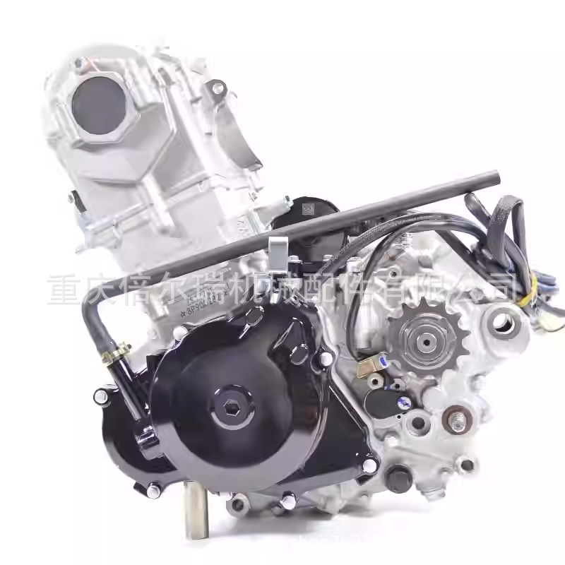 Zongshen EFI Motor de motocicleta NC450cc 4 válvulas 4 tiempos Motor Zs194MQ