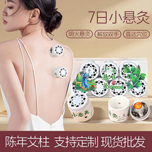 艾灸盒子家用随身灸发热小悬灸筒艾条艾炙贴温灸棒仪器具艾灸套装