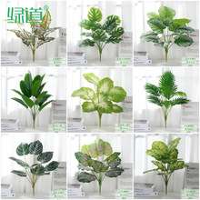 �����~��С��ֲ��٘��~��������������˽��҃Ⱦ��^�bGֲ�쾰