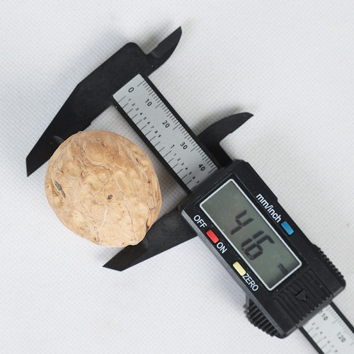 New Paper Shell Walnuts Bulk Wholesaler Shanxi Specialty Extra-Dry Fruits Thin Shell Walnuts Gift Box